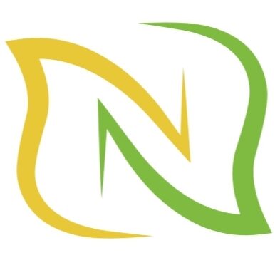 Nikan Saadat Trading Company